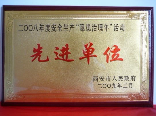 2009��2���������������񵱾���Ϊ2008��Ȱ�ȫ���������������ꡱ��Ƚ���Ԫ
